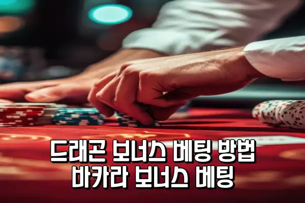드래곤 보너스 베팅 방법 - 바카라 보너스 베팅
